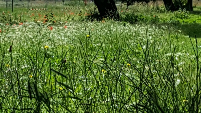 20160703_105542.jpg image