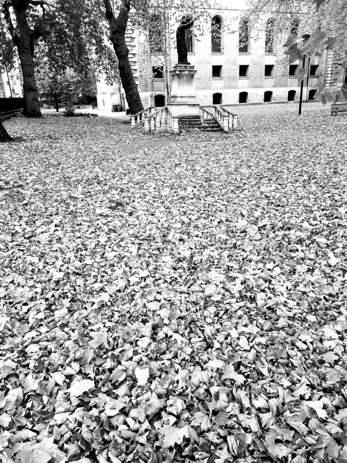 20171029_085723.jpg image