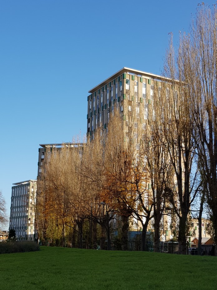 20171126_094247.jpg image