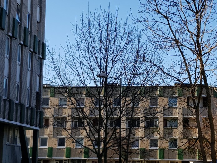 20171126_094519.jpg image