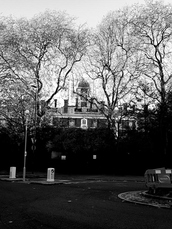 20171126_104952.jpg image