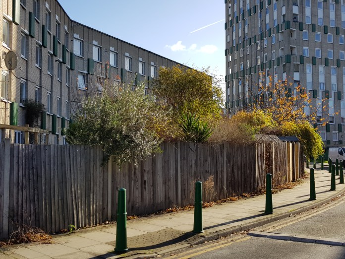 20171126_110048.jpg image