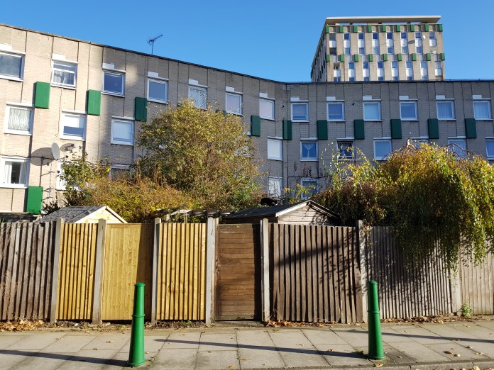 20171126_110135.jpg image