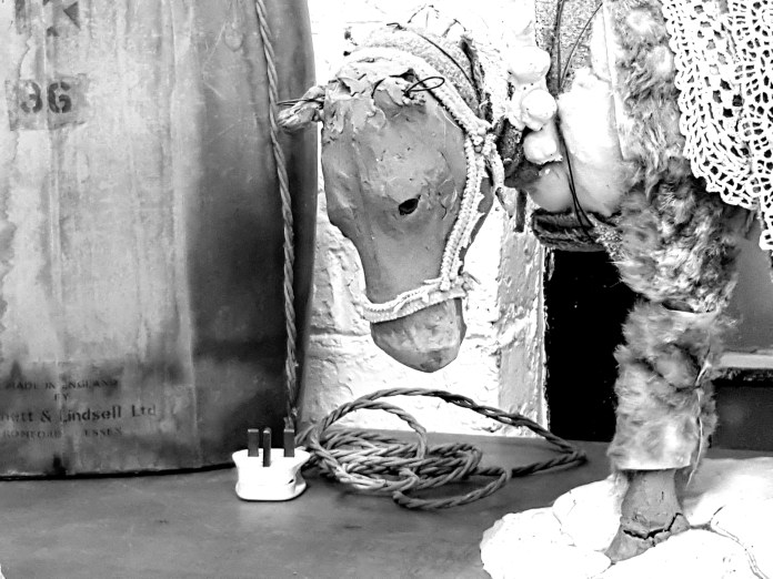 20171126_160234.jpg image