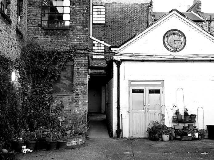 20171126_160428.jpg image