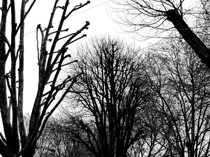 20171224_084314.jpg image