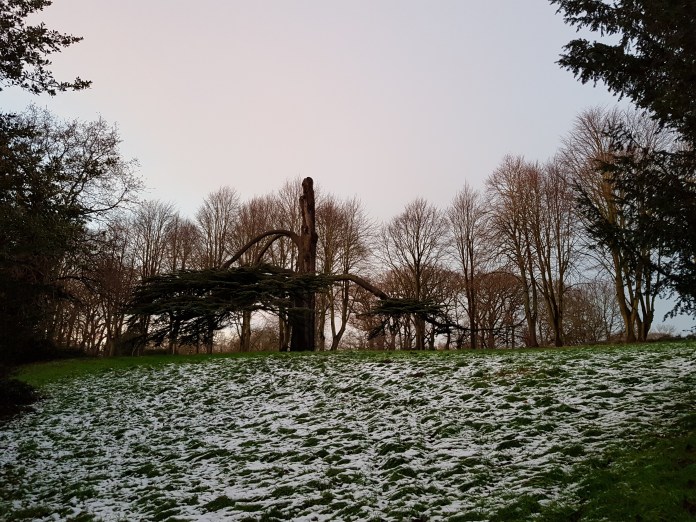 20171227_160834.jpg image