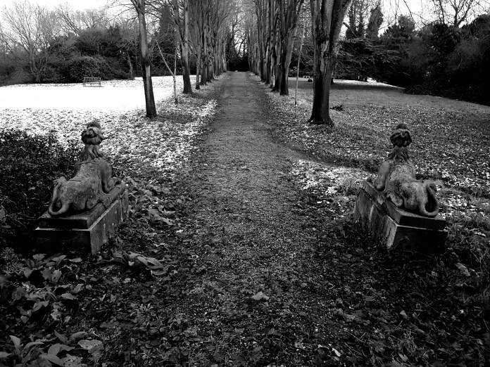 20171227_161312.jpg image