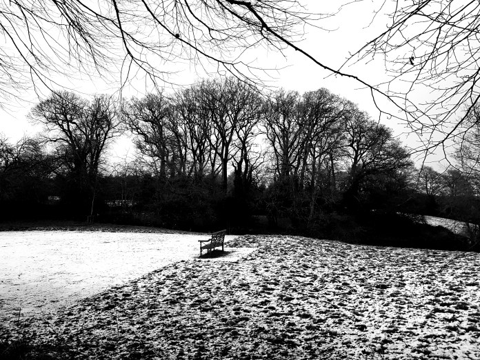 20171227_161432.jpg image