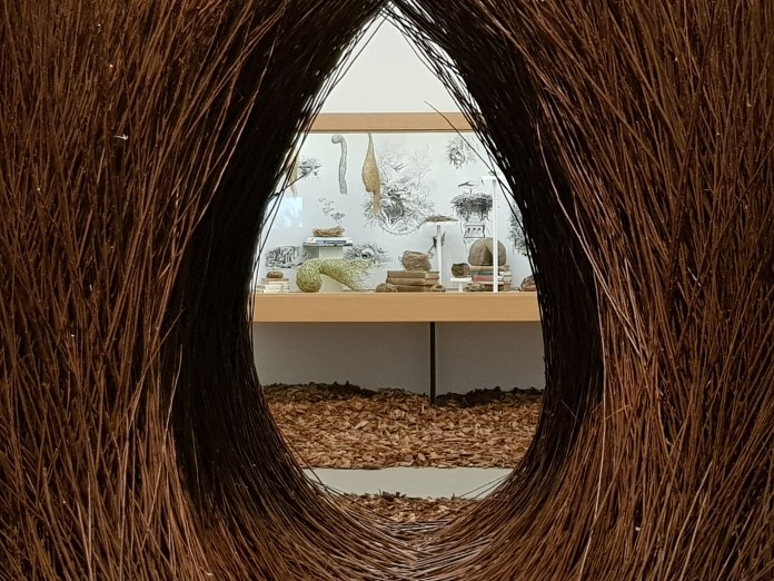 20180211_124907.jpg image