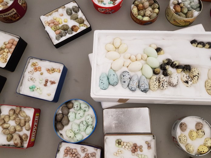 20180211_130220.jpg image