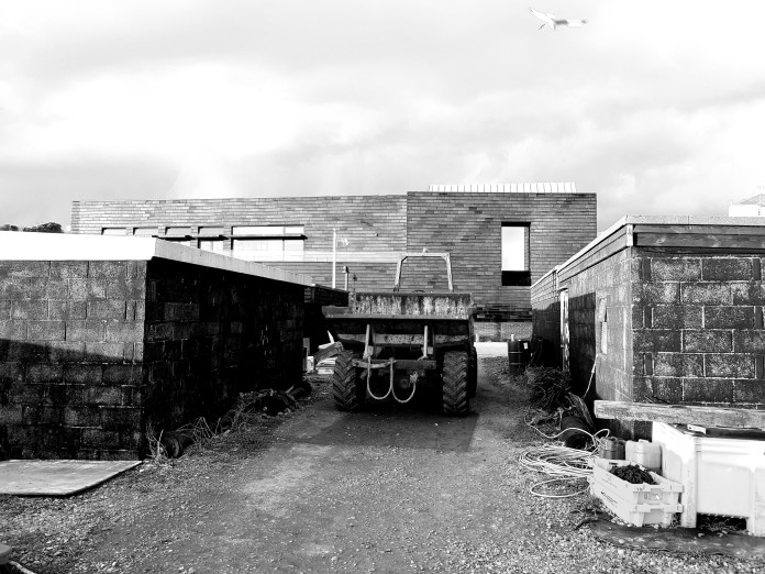 20180211_162901.jpg image