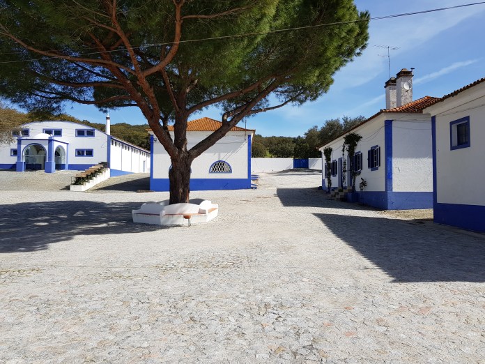 20180405_111531.jpg image