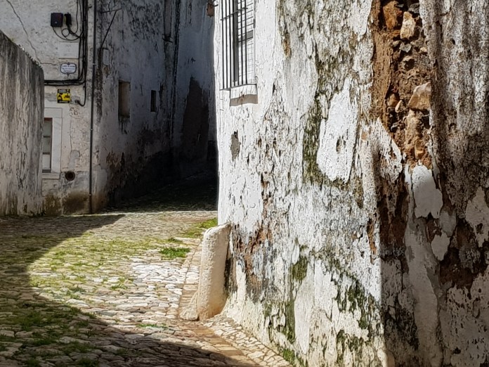 20180407_125137.jpg image