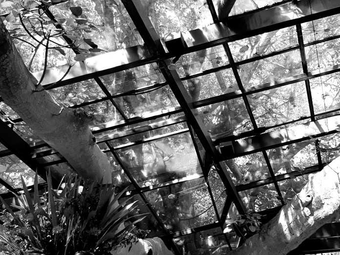 20180411_124850.jpg image