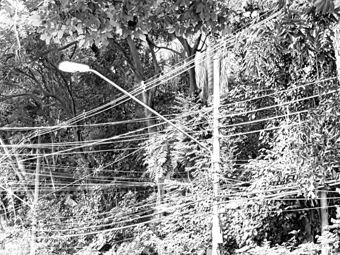 20180413_155914.jpg image