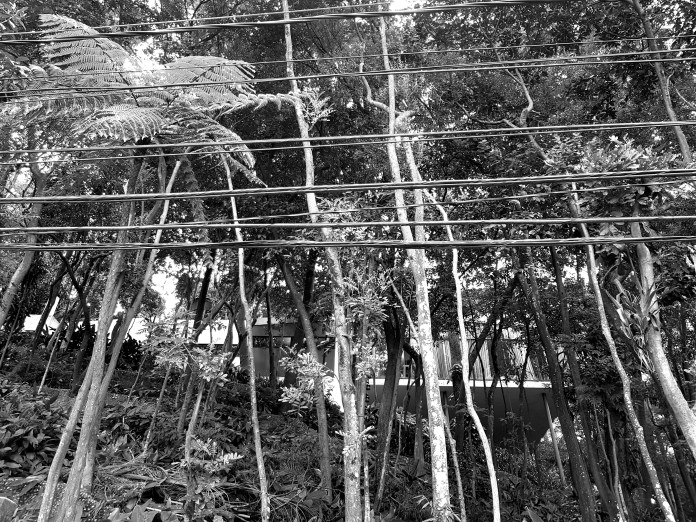 20180414_105808.jpg image