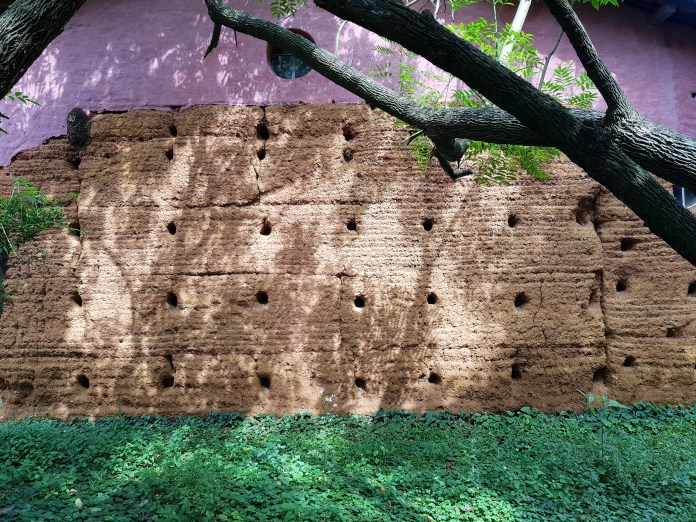 20180414_110734.jpg image