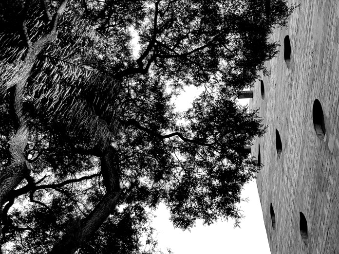 20180414_151148.jpg image