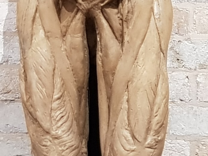 20180419_141438.jpg image