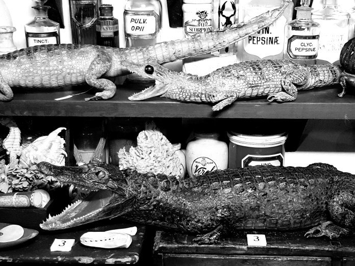 20180626_174220.jpg image