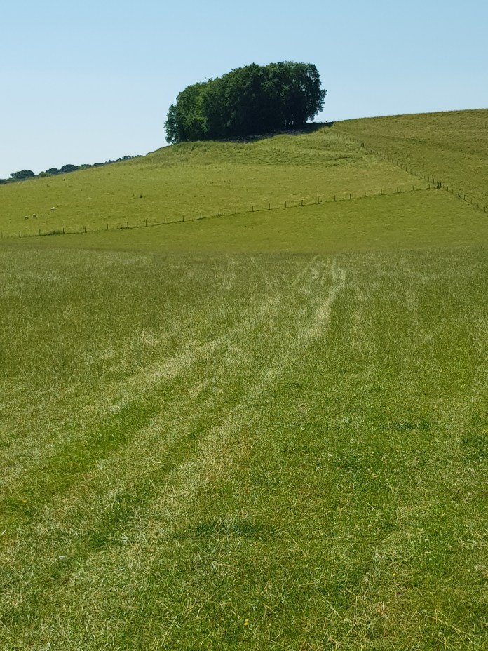 20180629_115116.jpg image