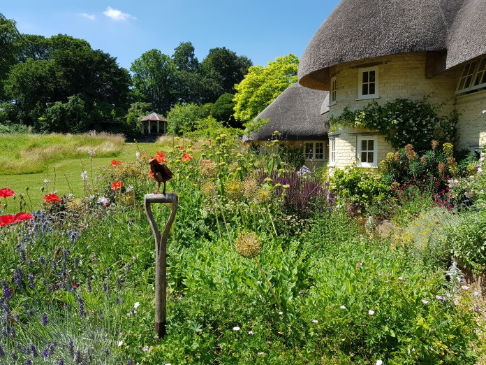 20180629_135115.jpg image