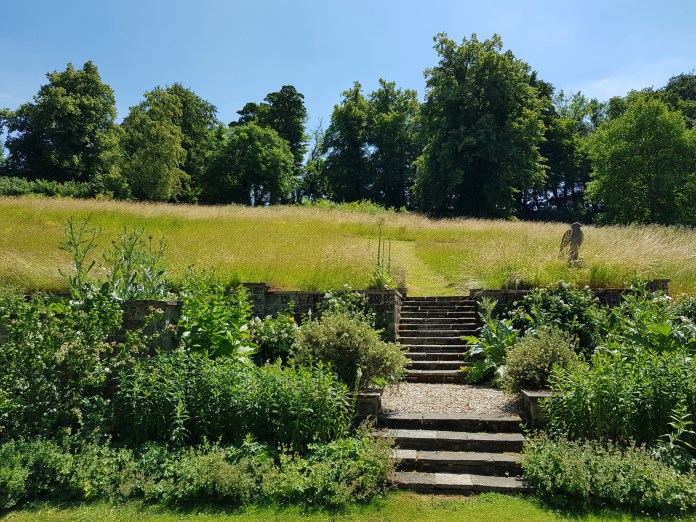 20180629_135238.jpg image