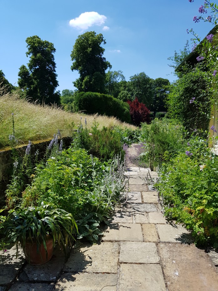 20180629_135342.jpg image