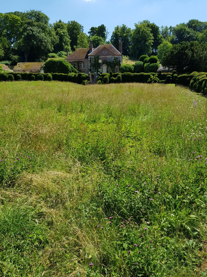 20180629_140129.jpg image