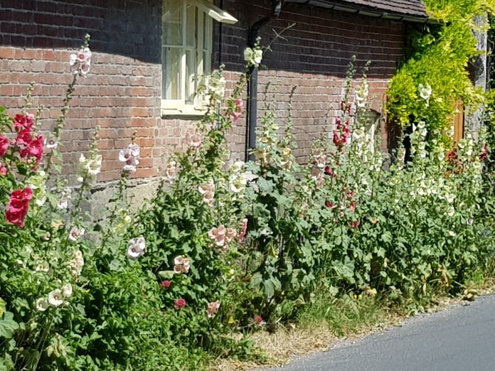 20180629_142632.jpg image