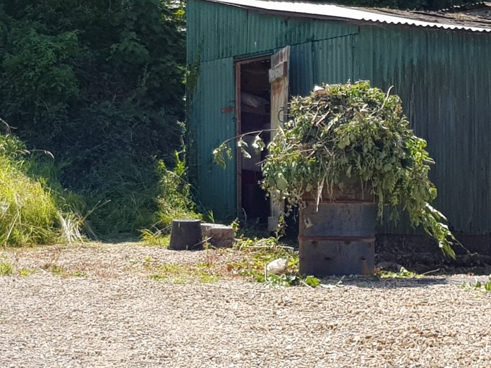 20180629_142711.jpg image