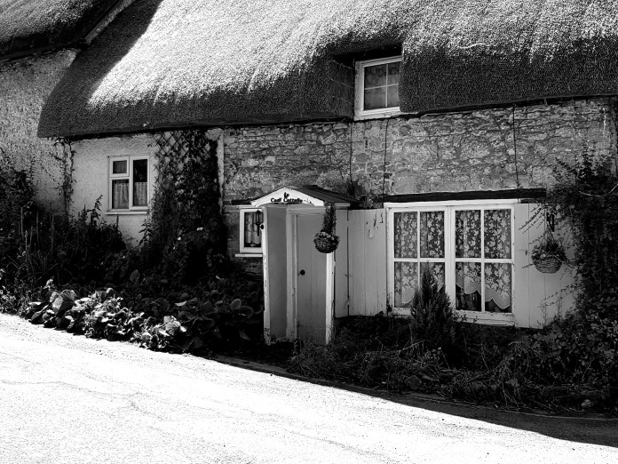 20180629_142820.jpg image