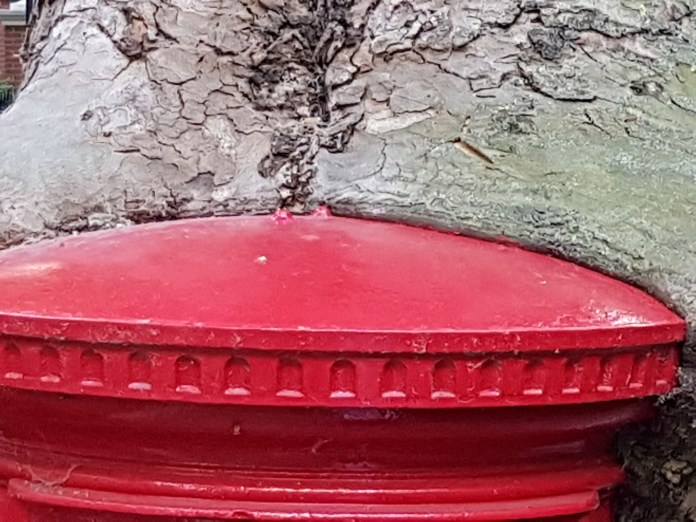 20180730_192419.jpg image