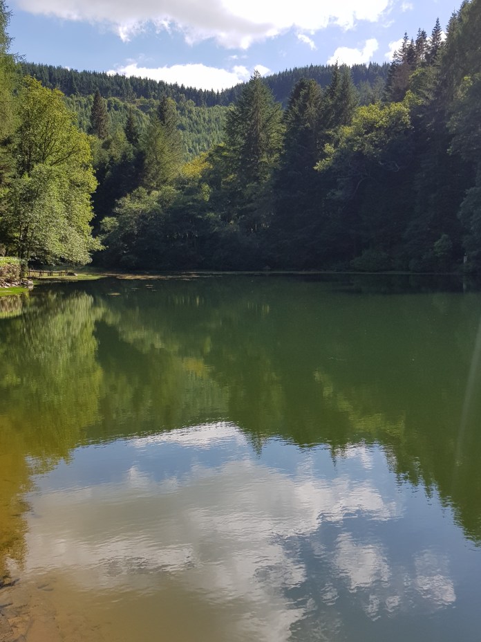 20180804_160058.jpg image