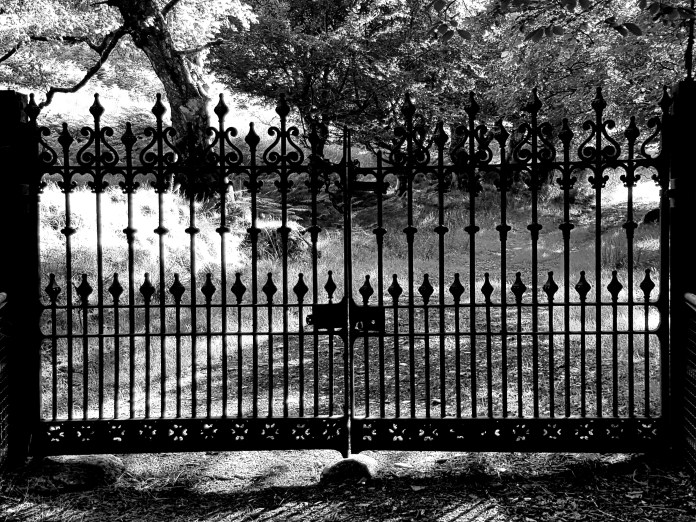 20180804_173224.jpg image