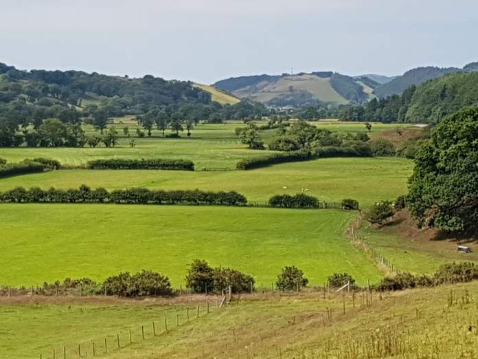 20180805_112825.jpg image