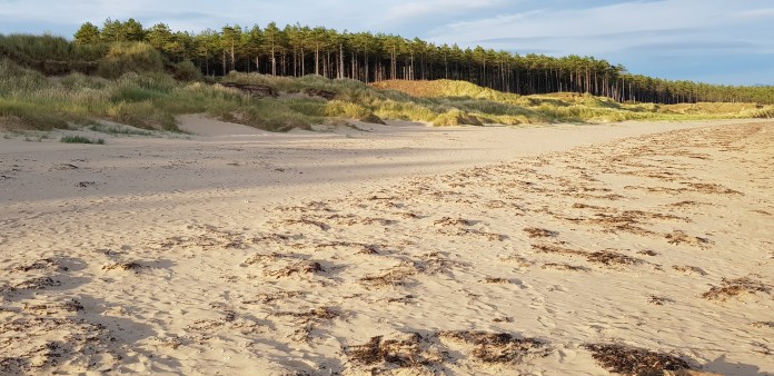 20180806_195138.jpg image