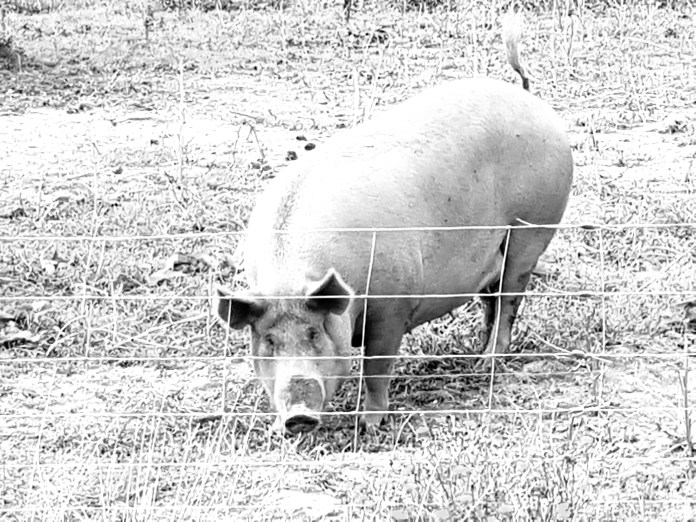 20180807_134415.jpg image