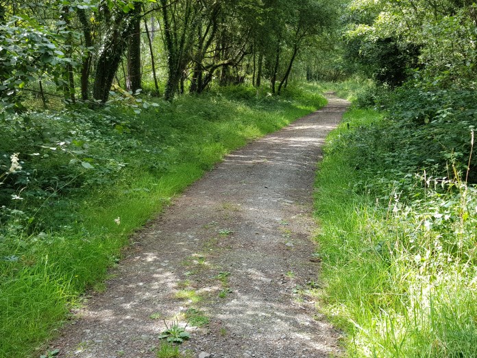 20180808_152145.jpg image