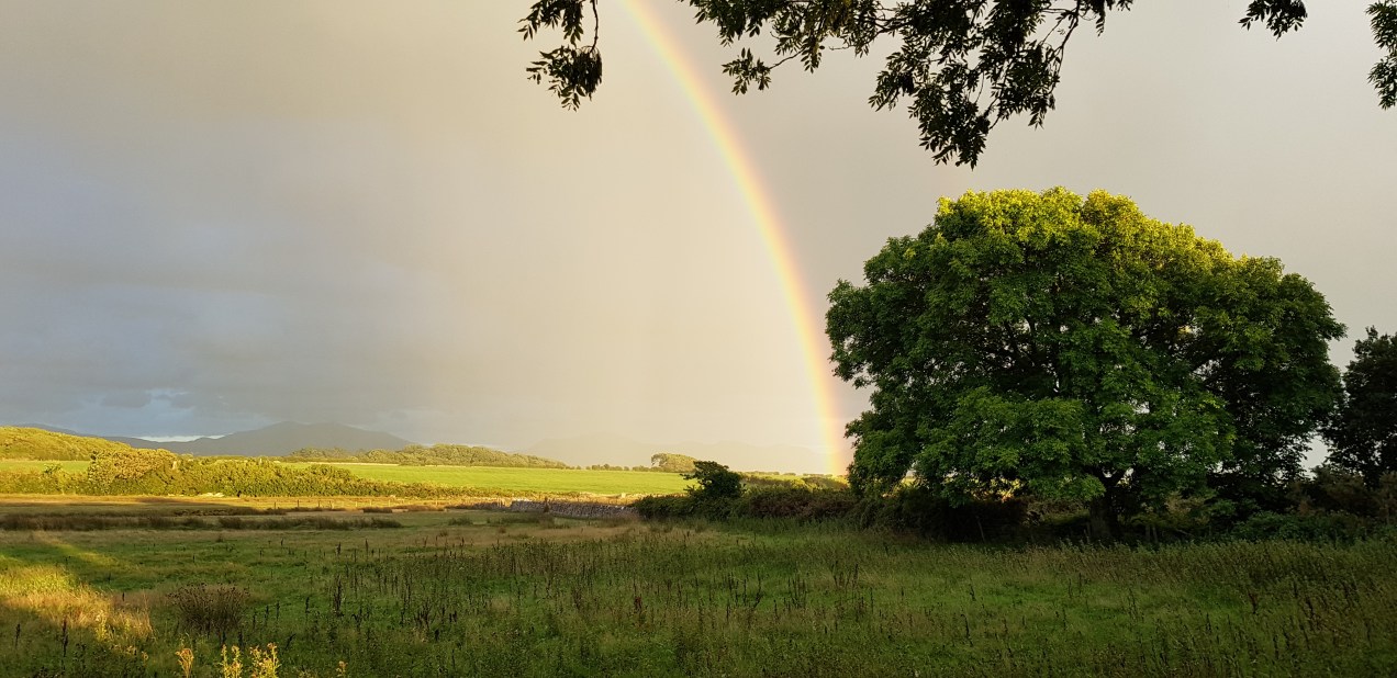 20180823_195740.jpg image