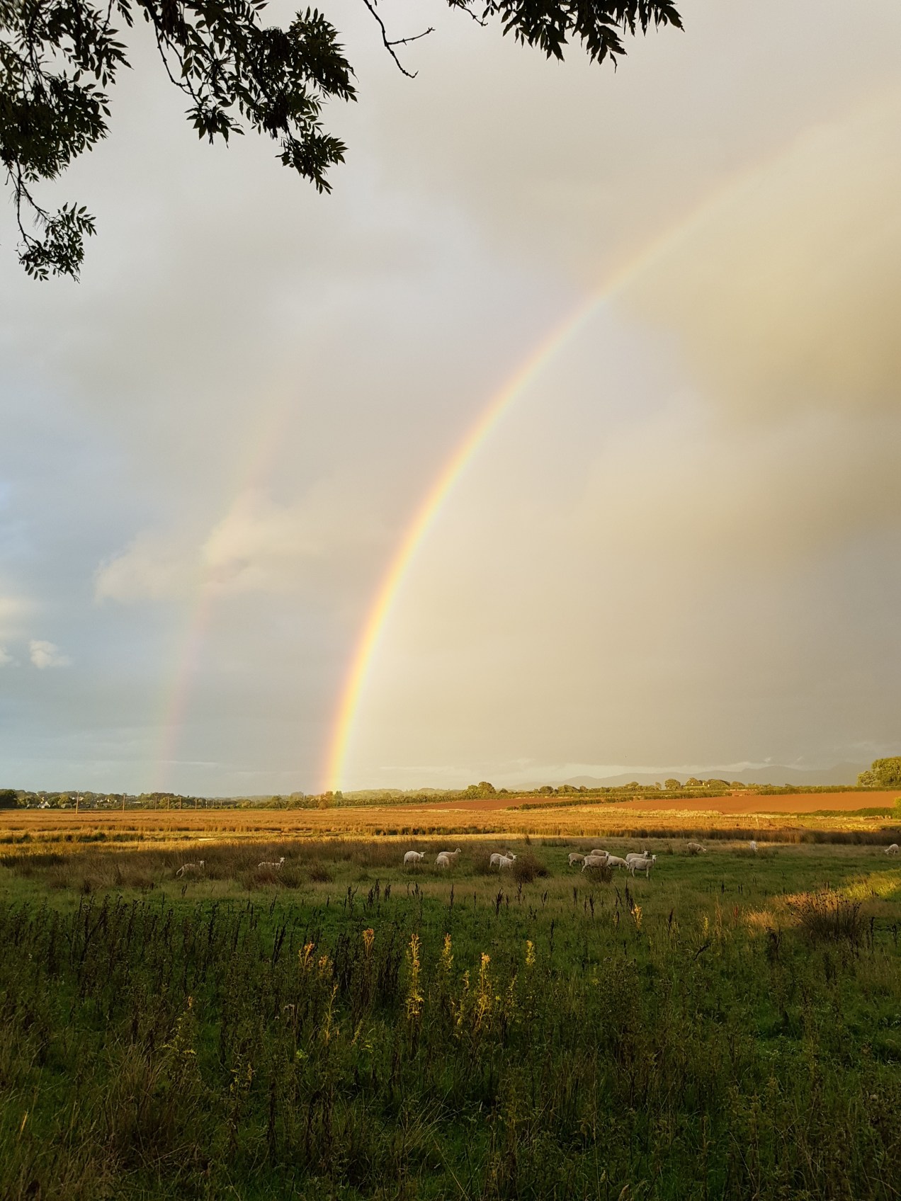 20180823_195825.jpg image