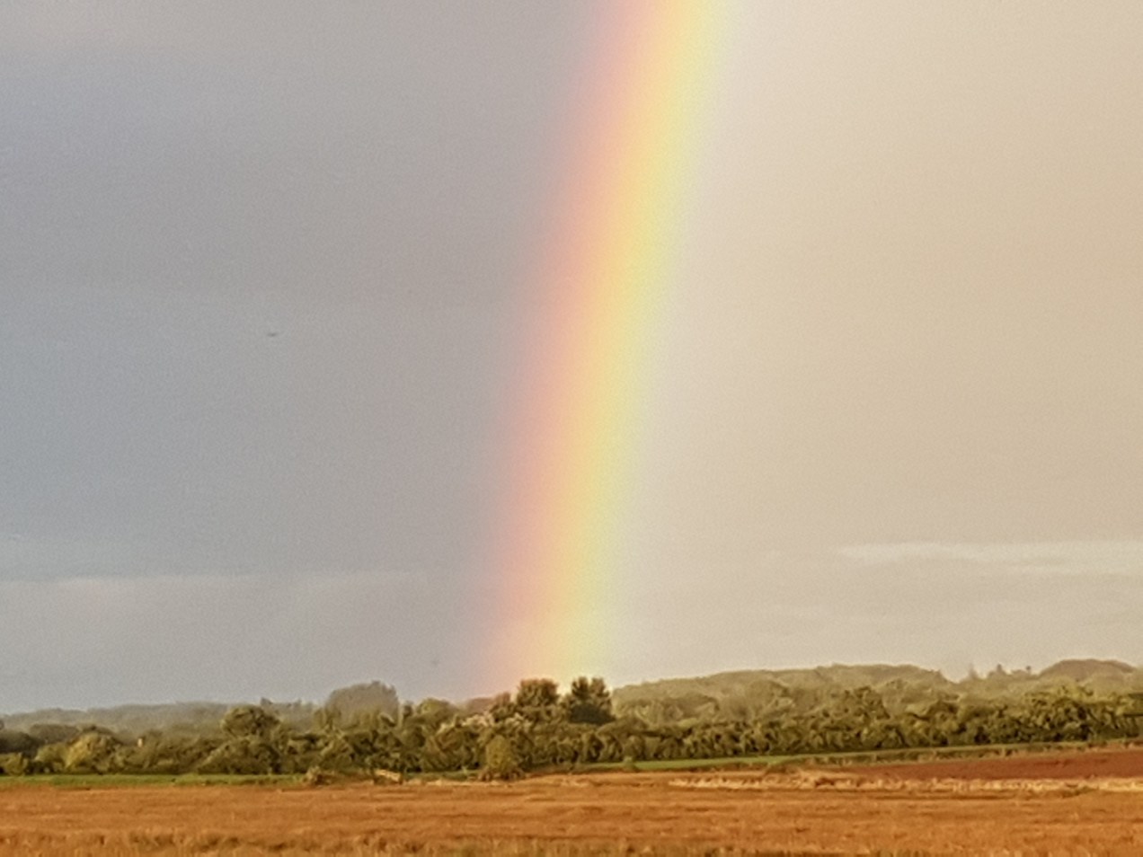 20180823_195843.jpg image