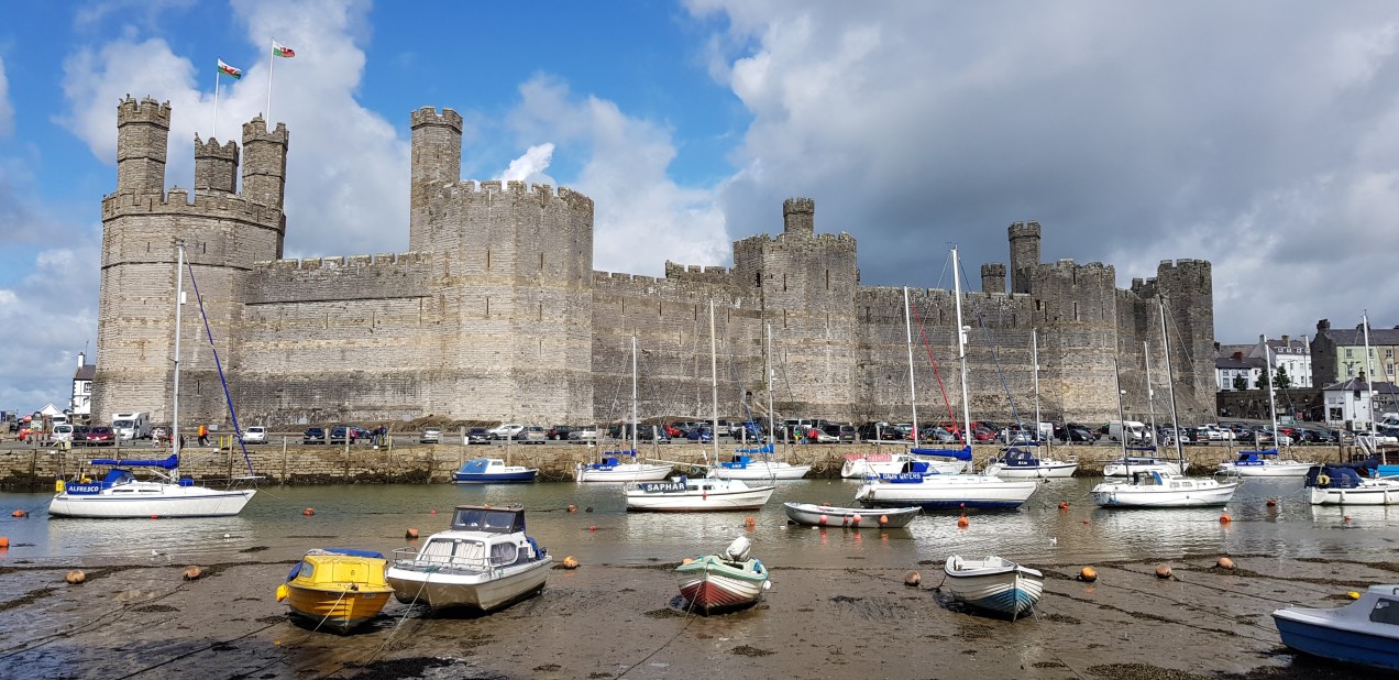 20180824_133932.jpg image