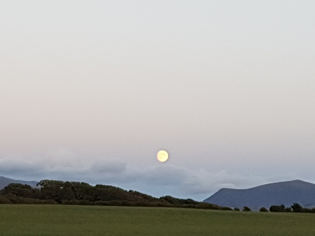 20180824_202501.jpg image