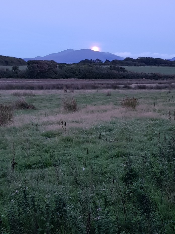 20180825_204321.jpg image