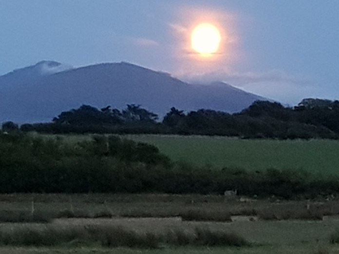 20180825_205013.jpg image