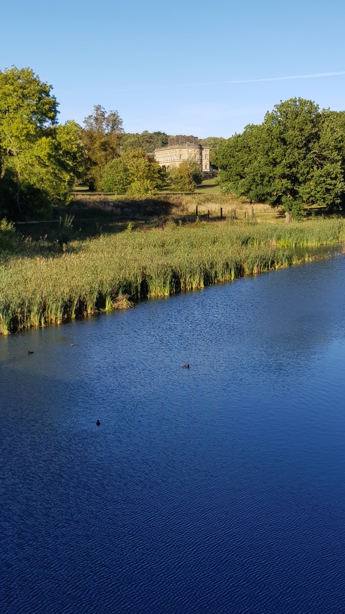 20180927_165731.jpg image