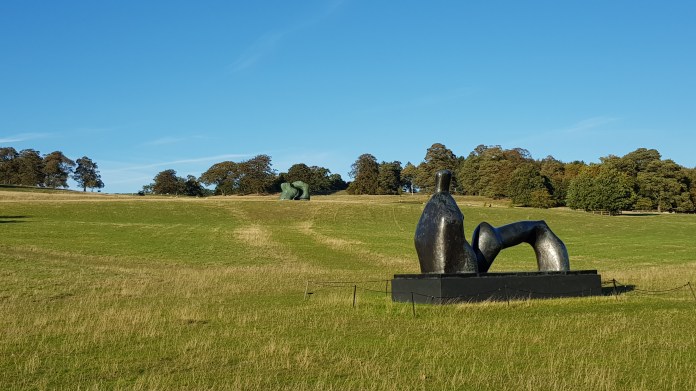 20180927_172211.jpg image