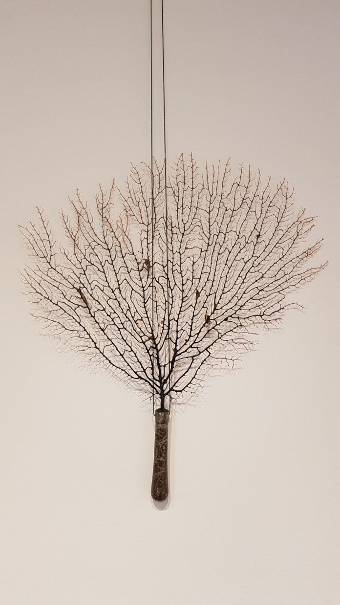 20180929_144433.jpg image